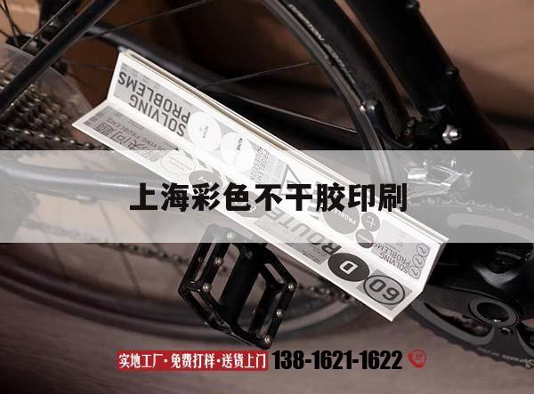 【上海彩色不干膠印刷】｜上海不干膠標(biāo)簽廠  第1張